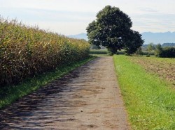 Inscrie-te la cursul de agricultura ecologica!
