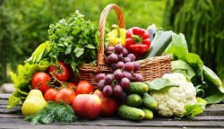 Centrul natura: Informatii de la Maestri