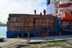 Paduri „disparute“ prin Portul Constanta!