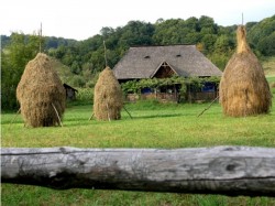 Maramuresenii, impreuna pentru o dezvoltare durabila a regiunii