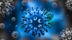 Celule stem modificate genetic sa lupte impotriva cancerului