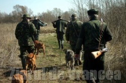 Cinci tineri au plecat la vanat de vulpi si au impuscat caprioare!