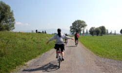 Creste fenomenul velo in Europa, si in Romania