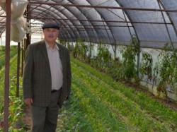 Reducerea TVA la produsele ecologice: apa de ploaie pentru fermierii bio