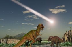 O eruptie vulcanica fara precedent ar fi cauzat o serie de schimbari climatice care au dus la disparitia dinozaurilor.