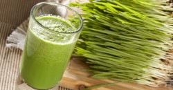 “Sangele verde”, elixirul din iarba de grau care iti reface sanatatea