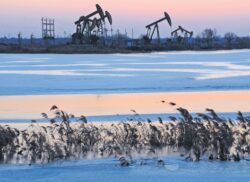 OPEC: Pretul petrolului ar putea urca la 200 de dolari/baril!