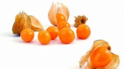 Physalis, supranumita si catina incasilor. Floarea lampion, plina cu vitamine