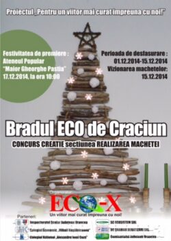 Se cauta cel mai ECO brad de Craciun