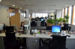 1.500 de pesti, 100 de tone de mobilier in noul sediu eco al Orange Romania