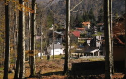 Proiect imobiliar in Parcul Natural Bucegi. Despaduririle ar fi inceput chiar de la seful ocolului silvic