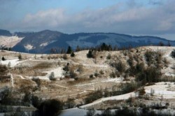 Ministrul Mediului a semnat contractul pentru "Calea verde spre dezvoltare durabila"