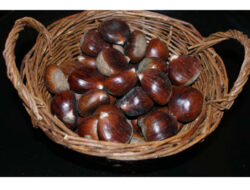 Leacuri din gradina: Castanele comestibile