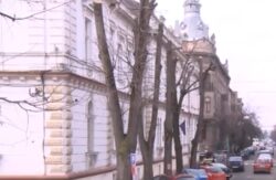 Cetatenii si peisagistii aradeni contesta modul in care sunt toaletati copacii din Arad