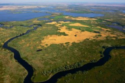 Schimbarile climatice si activitatile economice pun in pericol deltele din intreaga lume
