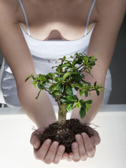 Eco sex – viata ta sexuala afecteaza mediul inconjurator!
