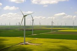 Bani pierduti prin paletele eolienelor