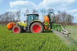 Animale salbatice decimate de erbicide