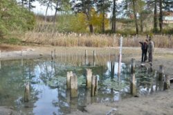 Speciile unice din rezervatia Petea mai traiesc doar in acvarii