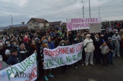 Al treilea protest la Sebes, impotriva fabricii de formaldehida de pe platforma Kronospan