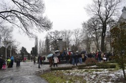 Asociatia Peisagistilor din Romania se opune „masacrului“ in Parcul Eminescu
