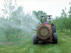 Pesticidele cresc riscul de afectiune cardiovasculara