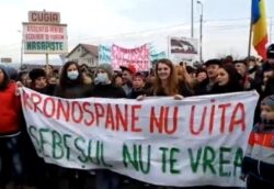 Protestele impotriva formaldehidei continua!