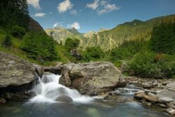 Evaluarea procesului de constientizare a tinerei generatii privind importanta siturilor Natura 2000 Muntii Fagaras si Piemontul Fagaras