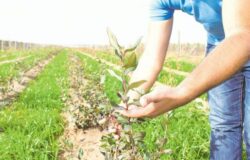 Saptamana ecologica 2015