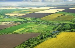 Unda verde pentru cultivarea plantelor modificate genetic