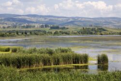 Zonele Natura 2000 se vor dezvolta durabil prin finantare elvetiana