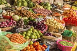 Despre agricultura ecologica