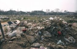 Educatie eco, pe bani elvetieni