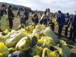 Lipsa educatiei ecologice, o bariera in calea colectarii selective