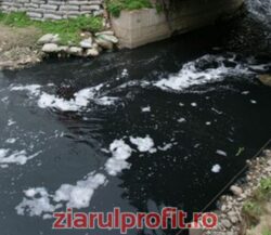 Poluare cu titei pe un rau din Arges
