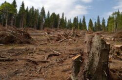 Romania are nevoie de 1.000 de ani pentru a impaduri 2.000.000 ha de terenuri agricole degradate