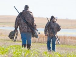 Animalele salbatice din Delta Dunarii, ucise pentru „optimizarea speciilor de interes cinegetic“