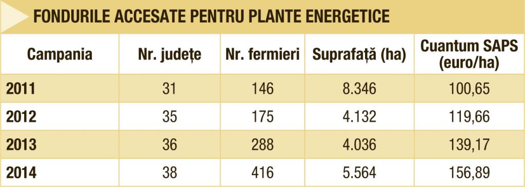 Plantele energetice se conecteaza la profituri