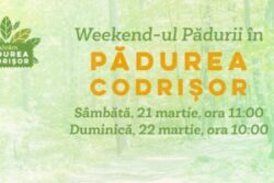 Asociatia Bistrita Civica organizeaza la data de 21 si 22 martie primele iesiri in Padurea Codrisor si o actiune de ecologizare