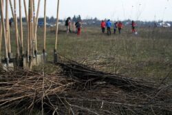 Plantam fapte bune in Romania a inceput cu Armasesti