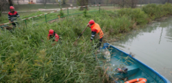 Arcuda, un paradis al Biodiversitatii