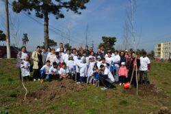 Tinerii liberali din mangalia au plantat copaci