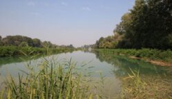 Specii rare protejate, de flora si fauna, pot fi vazute la 20 de kilometri de Bucuresti