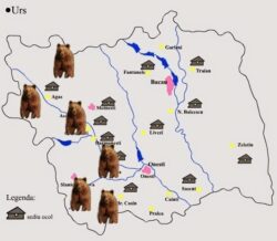 Incepe evaluarea populatiilor de animale protejate din judetul Bacau