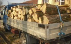 Actiuni pentru protejarea „aurului verde” in Dolj