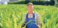 Plantele energetice se conecteaza la profituri