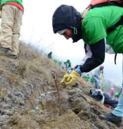 Laslaul Mare, impadurit de voluntarii CleanWood CO2
