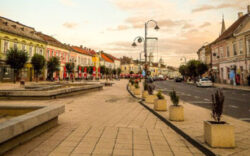 Cinci initiative verzi pentru comunitate