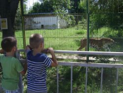 zoo calarasi