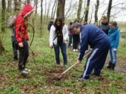 Elevii teleormaneni vor planta, in aceasta primavara, peste 66.000 de puieti forestieri